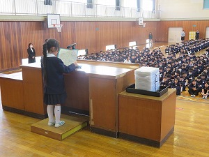 IMG_3356 IMG_3356