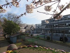 IMG_3472 IMG_3472