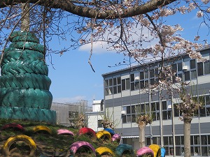 IMG_3451 IMG_3451