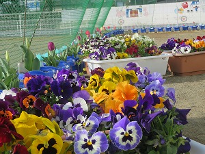 IMG_3478 IMG_3478