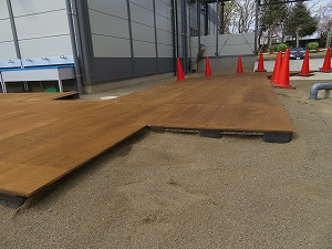 IMG_3483 IMG_3483