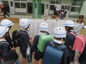 IMG_3485 IMG_3485