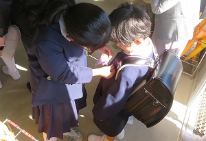 IMG_3540(2) IMG_3540(2)
