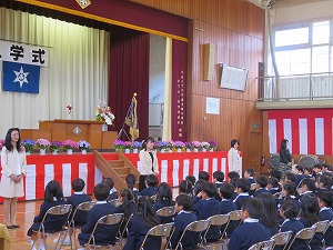 IMG_3556 IMG_3556