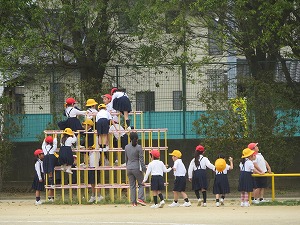 IMG_4130 IMG_4130