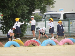 IMG_4132 IMG_4132