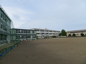 IMG_4156 IMG_4156