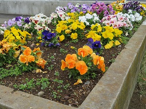 IMG_4171 IMG_4171