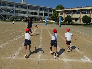 IMG_4212 IMG_4212