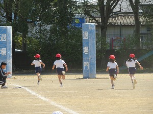 IMG_4210 IMG_4210