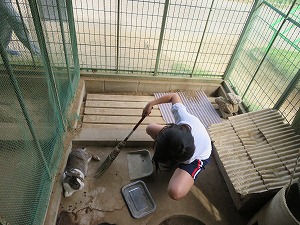 IMG_4226 IMG_4226