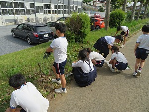 IMG_4229 IMG_4229