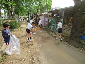 IMG_4231 IMG_4231