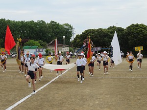 IMG_4328 IMG_4328
