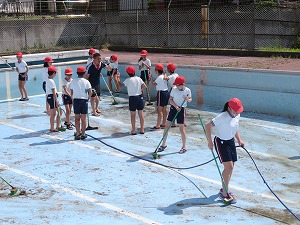 IMG_4371 IMG_4371