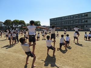 IMG_4417 IMG_4417