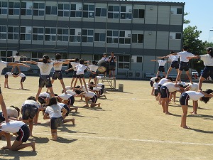 IMG_4422 IMG_4422