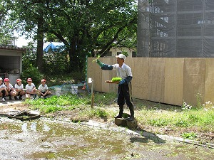 田植え1 田植え1