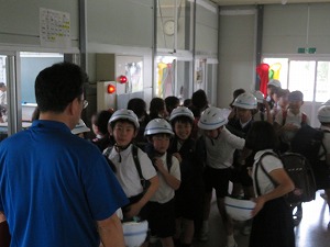 IMG_4481 IMG_4481