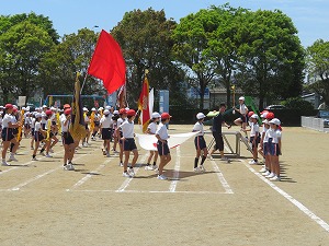 IMG_4517 IMG_4517