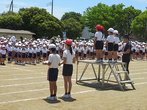 IMG_4519 IMG_4519