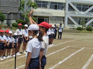 IMG_4525 IMG_4525