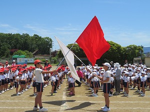 IMG_4528 IMG_4528