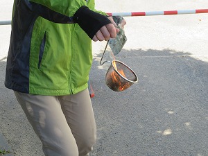 IMG_4581 IMG_4581