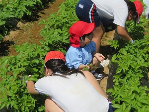 IMG_4555 IMG_4555