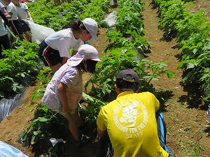 IMG_4564 IMG_4564