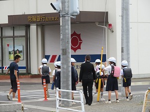 IMG_4774 IMG_4774