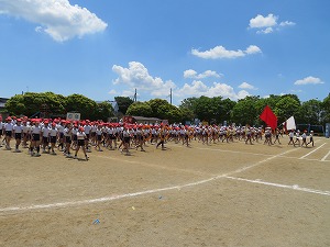 IMG_4788 IMG_4788