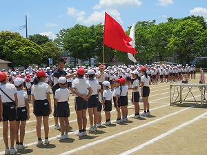 IMG_4791 IMG_4791