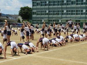IMG_4798 IMG_4798