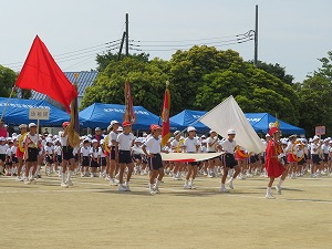 IMG_4843 IMG_4843