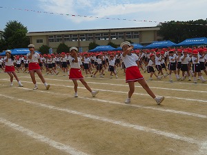 IMG_4879 IMG_4879