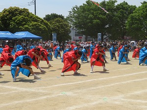 IMG_4887 IMG_4887