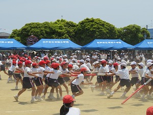 IMG_4896 IMG_4896