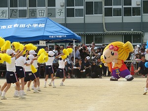 IMG_4942 IMG_4942