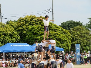 IMG_4968 IMG_4968