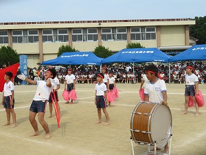 IMG_4974 IMG_4974