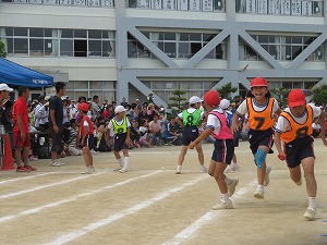 IMG_4981 IMG_4981