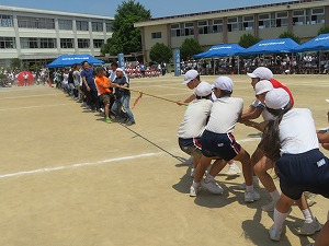 IMG_4905 IMG_4905