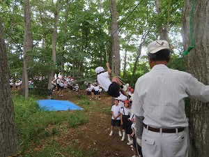 IMG_5155 IMG_5155