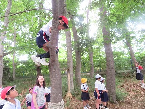 IMG_5169 IMG_5169