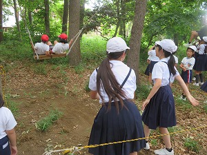 IMG_5162 IMG_5162