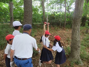 IMG_5157 IMG_5157