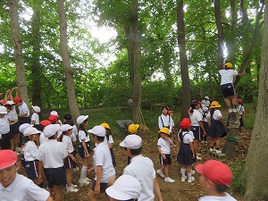 IMG_5176 IMG_5176