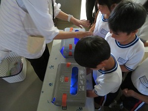 IMG_5545 IMG_5545