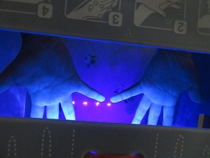 IMG_5550 IMG_5550